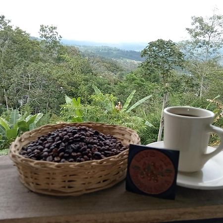 Hotel Green Mountain Turrialba Zewnętrze zdjęcie