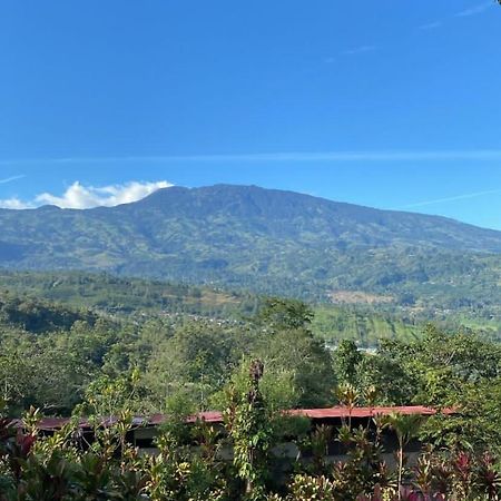 Hotel Green Mountain Turrialba Zewnętrze zdjęcie