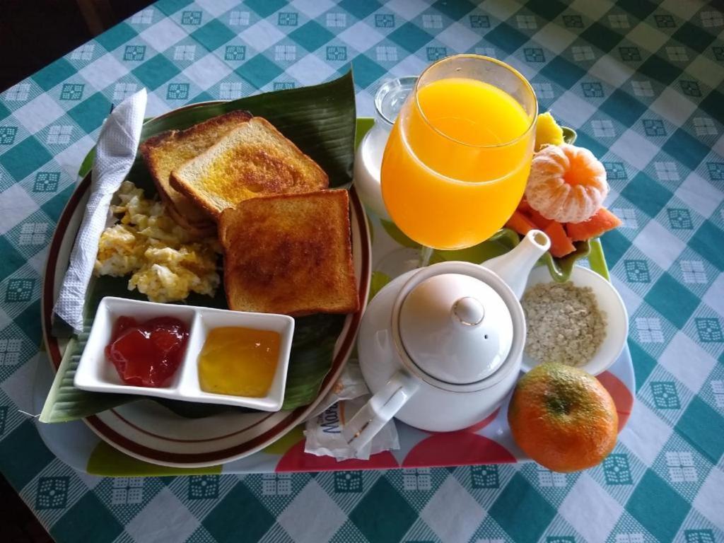 Hotel Green Mountain Turrialba Zewnętrze zdjęcie