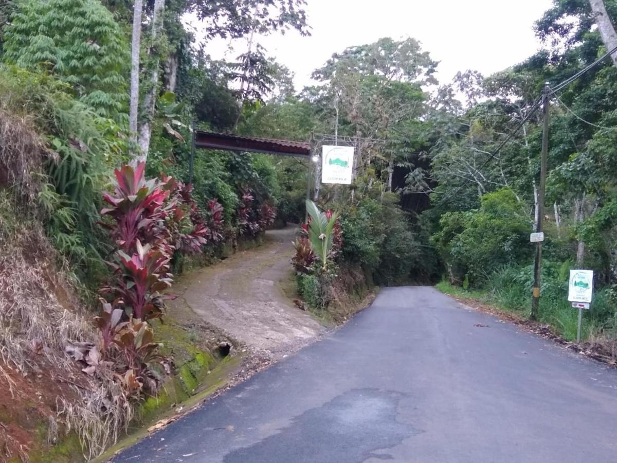 Hotel Green Mountain Turrialba Zewnętrze zdjęcie