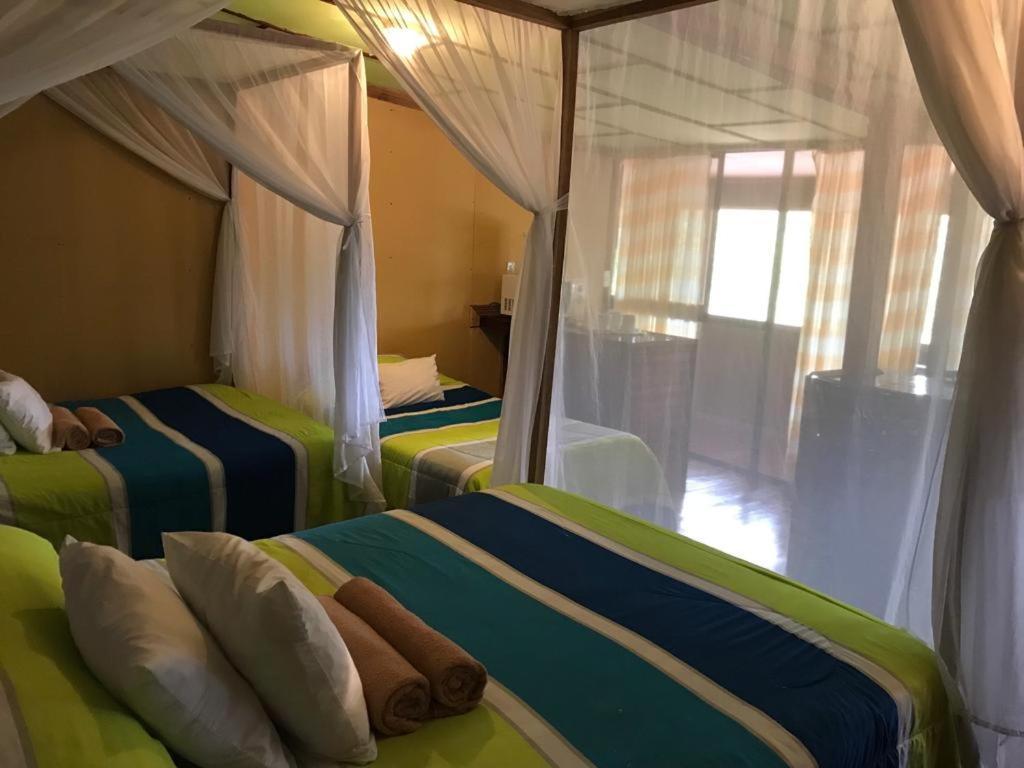 Hotel Green Mountain Turrialba Zewnętrze zdjęcie