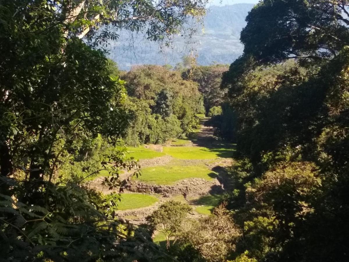 Hotel Green Mountain Turrialba Zewnętrze zdjęcie