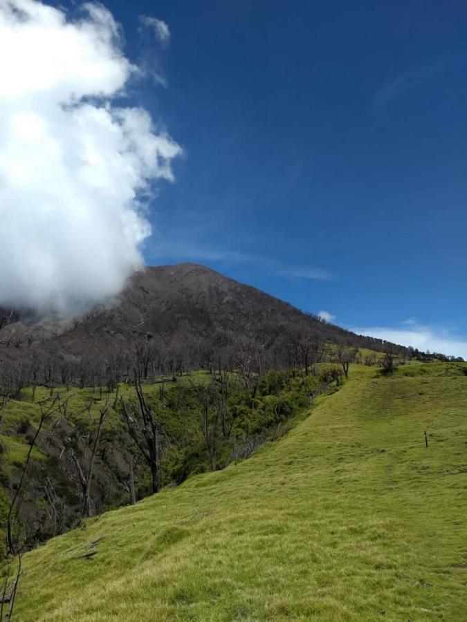 Hotel Green Mountain Turrialba Zewnętrze zdjęcie