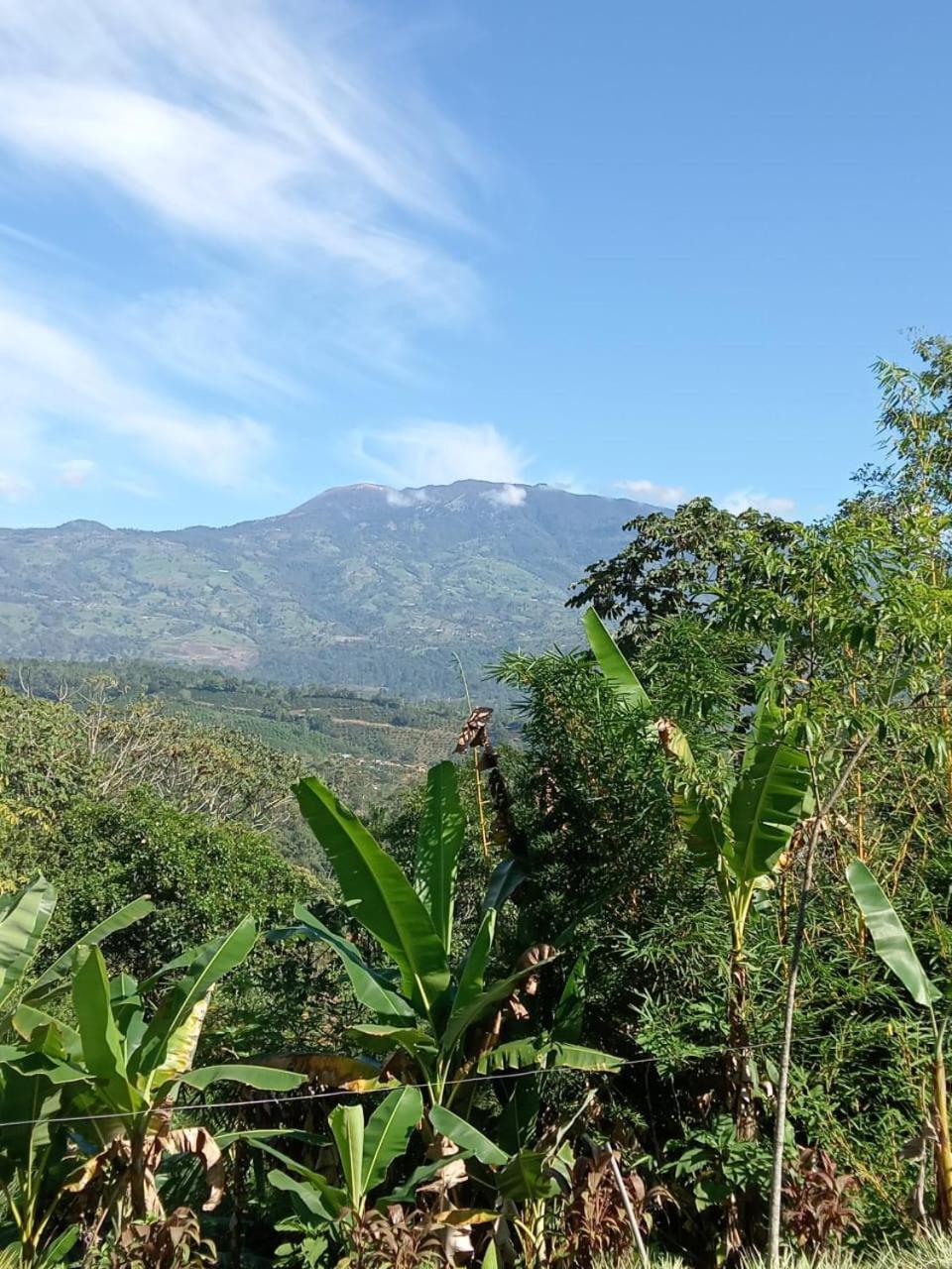 Hotel Green Mountain Turrialba Zewnętrze zdjęcie