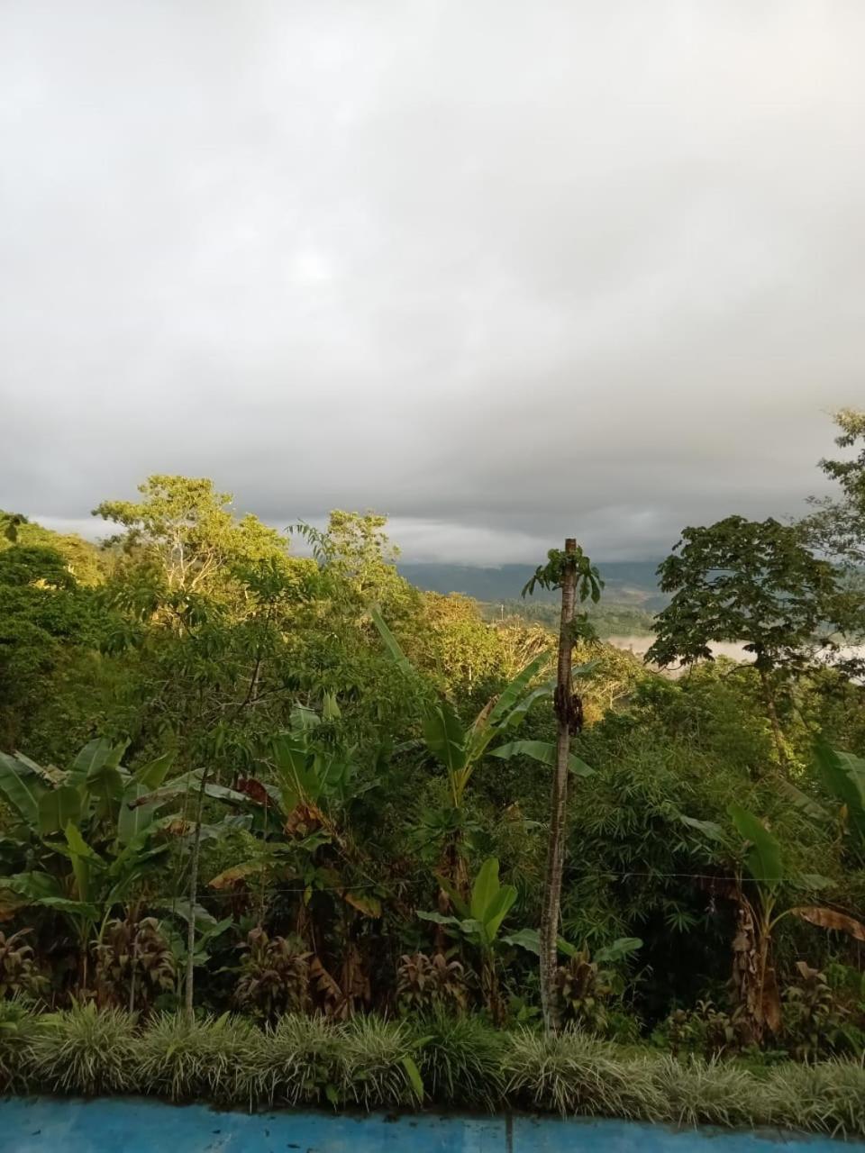 Hotel Green Mountain Turrialba Zewnętrze zdjęcie