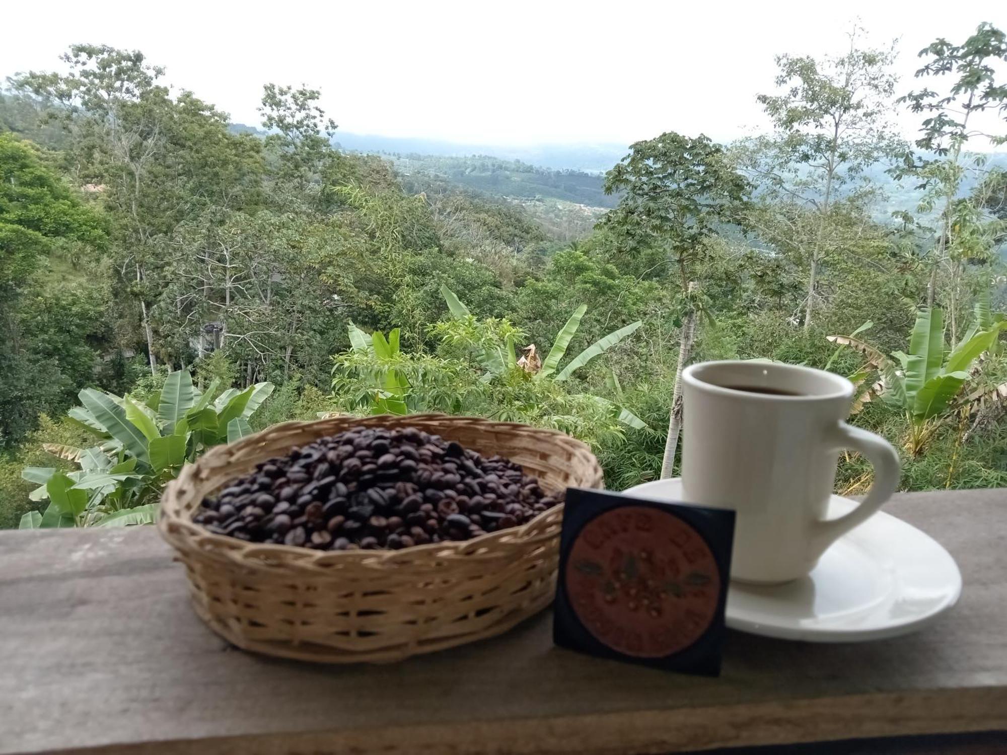 Hotel Green Mountain Turrialba Zewnętrze zdjęcie