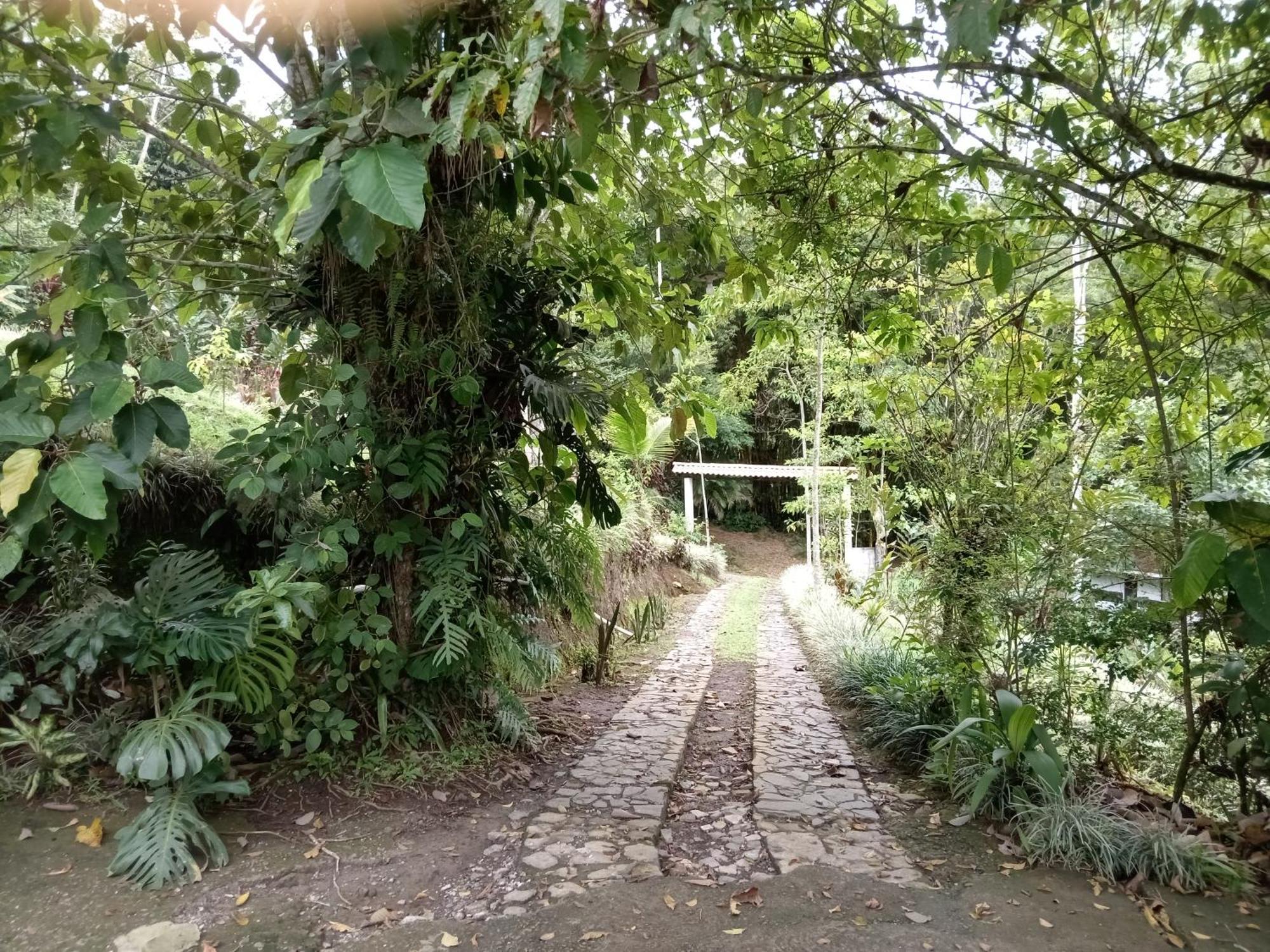 Hotel Green Mountain Turrialba Zewnętrze zdjęcie