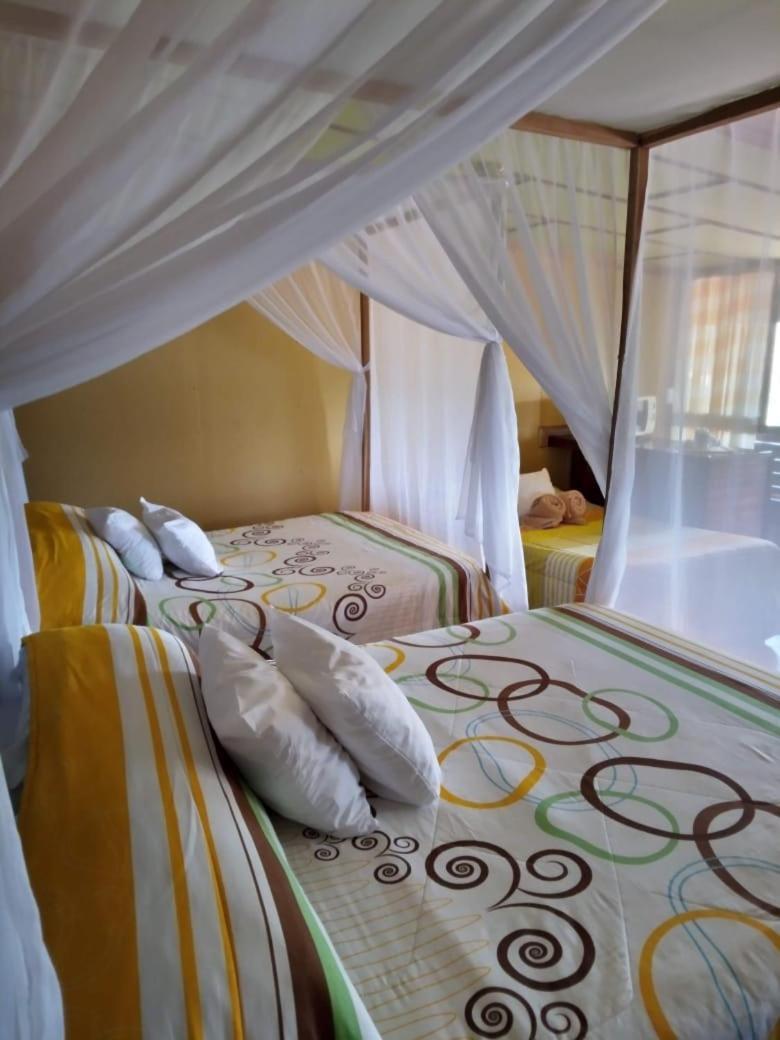 Hotel Green Mountain Turrialba Zewnętrze zdjęcie