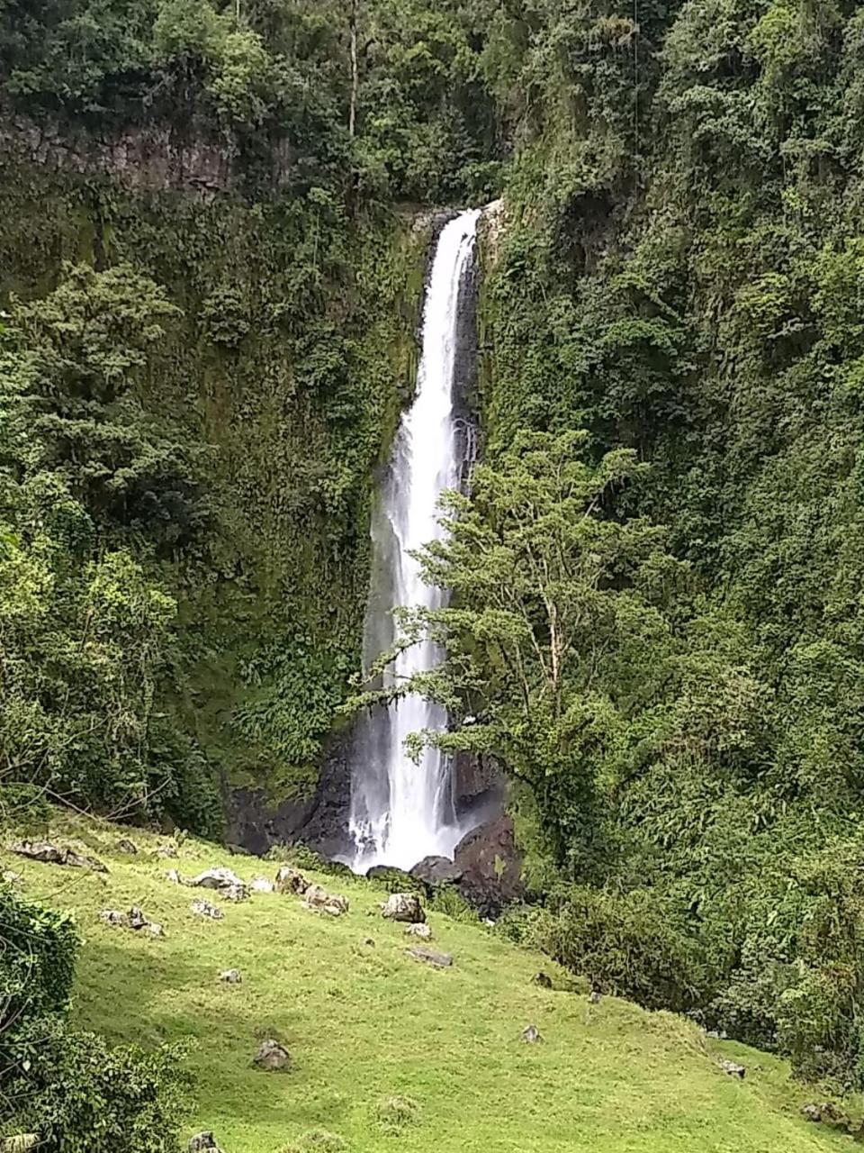 Hotel Green Mountain Turrialba Zewnętrze zdjęcie