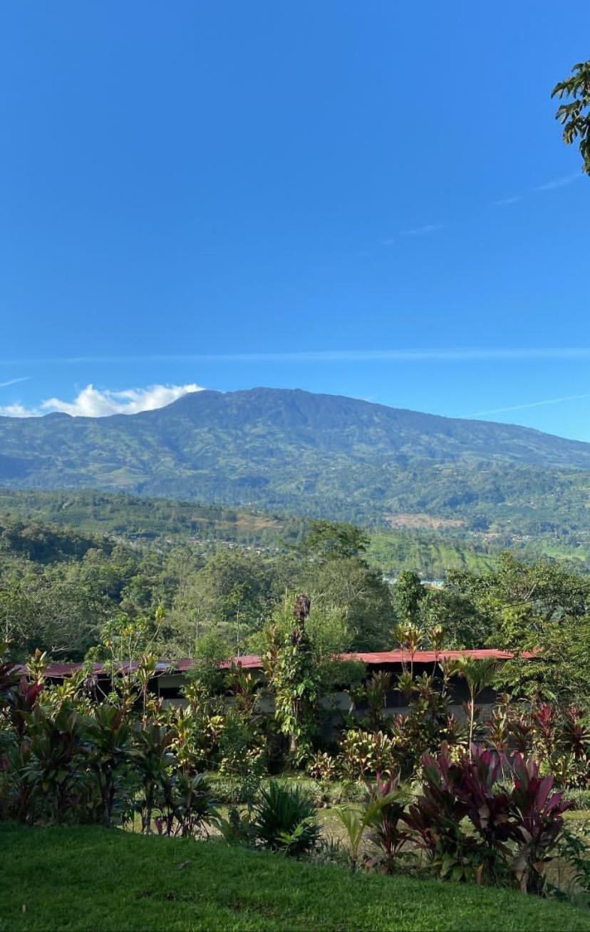 Hotel Green Mountain Turrialba Zewnętrze zdjęcie